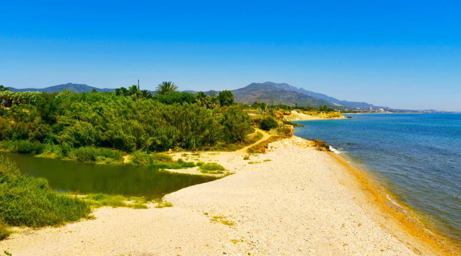 ¿Cuáles son las opciones de vehículos más populares en Vinaroz?